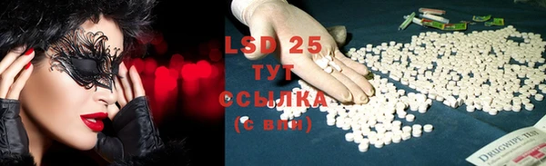 хмурый Новозыбков