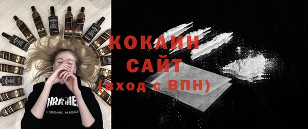 хмурый Новозыбков