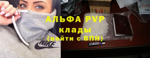 spice Новодвинск