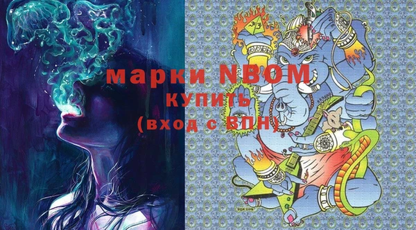крисы Новокубанск