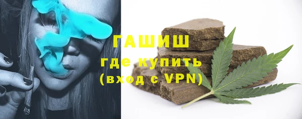 крисы Новокубанск