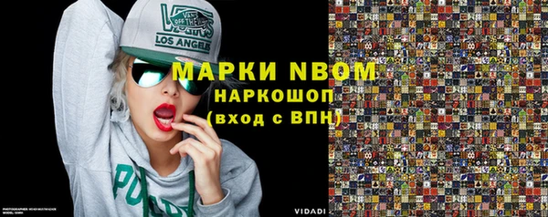 хмурый Новозыбков