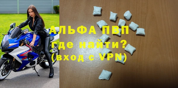 хмурый Новозыбков