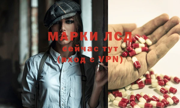 крисы Новокубанск