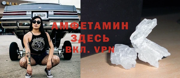хмурый Новозыбков