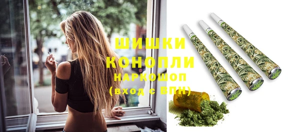 крисы Новокубанск