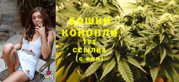 хмурый Новозыбков
